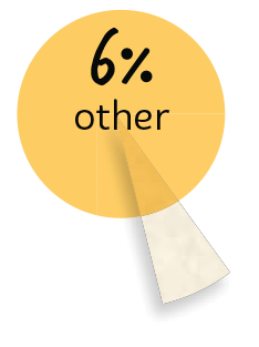 6% other