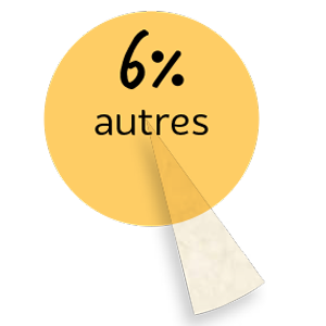 6 % autres